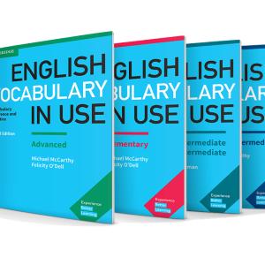 English Vocabulary in Use interactive book