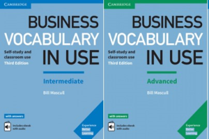 Business Vocabulary in Use