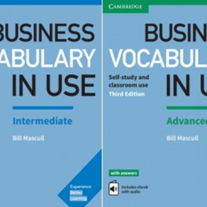 Business Vocabulary in Use