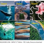 Download Impact 2nd Edition - original PDF, audio vieo, Impact second edition