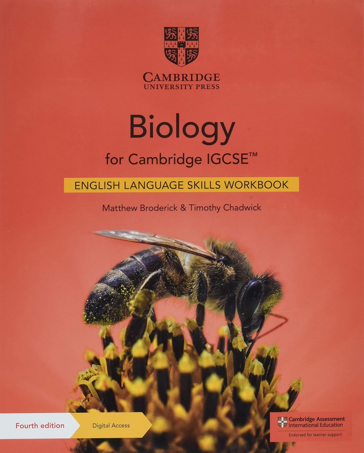 English Skills Workbook