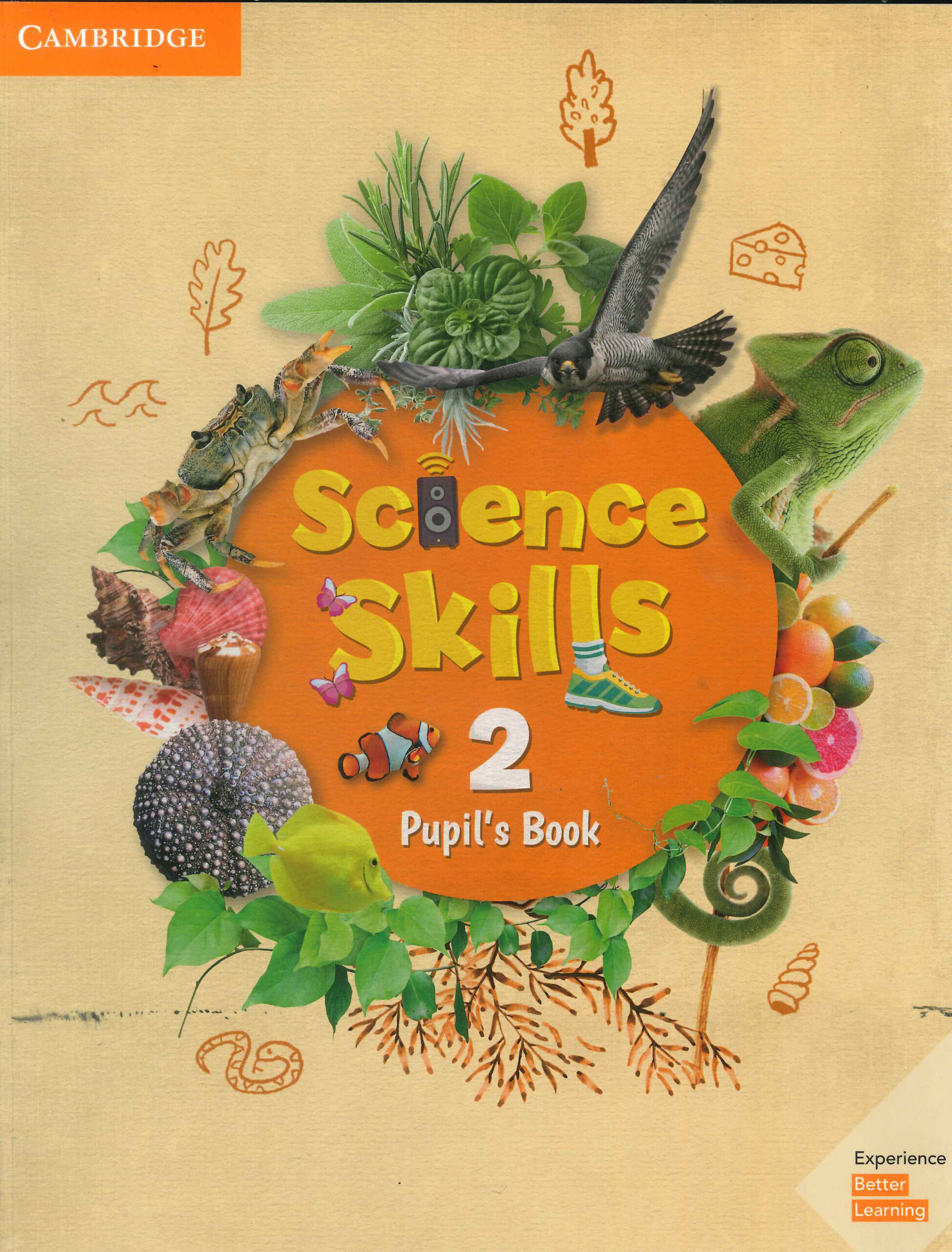 Level 2 PDF RS
