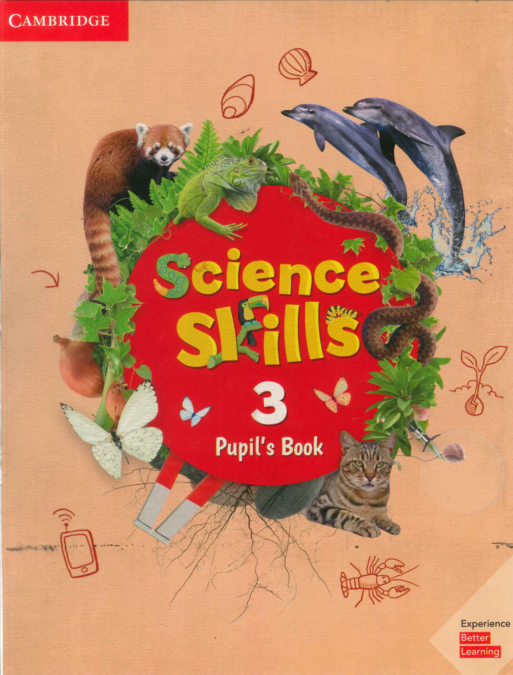 Level 3 PDF RS