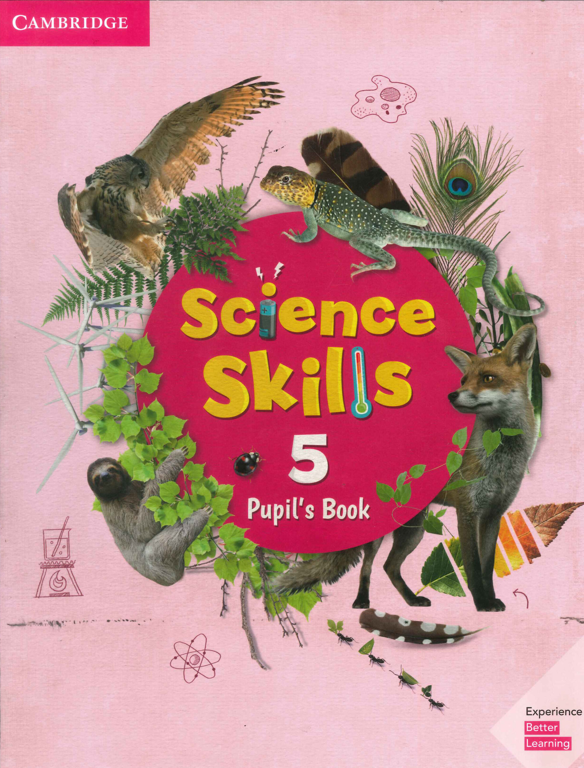 Level 5 PDF RS