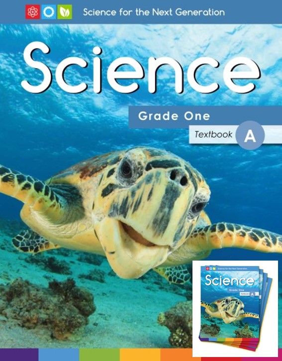 Grade 1