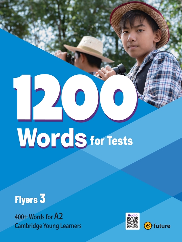 Flyers 3 PDF RS